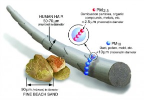 【轉載】 查了多篇科學文獻，給你一份PM2.5知識圖譜